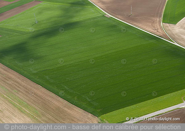 agriculture - Hesbaye